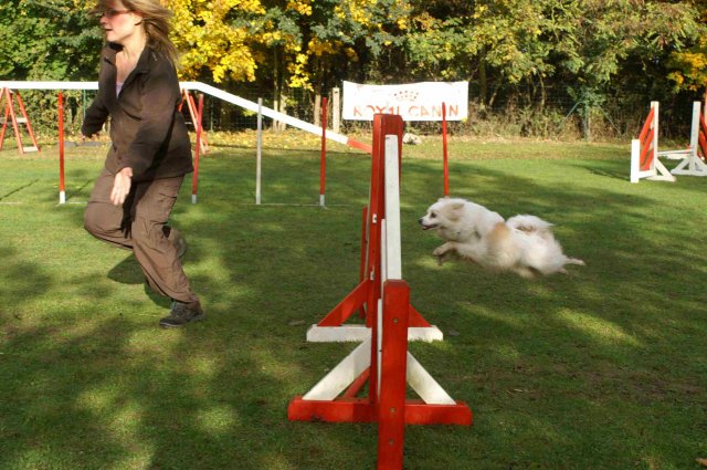 agility 2011-10-30